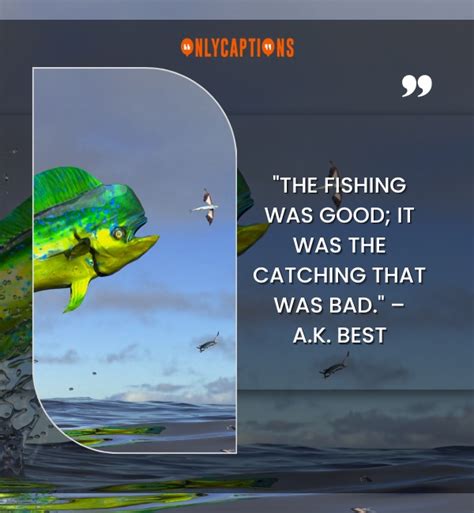280+ Fly Fishing Quotes (2025) Most Inspirational Lines.